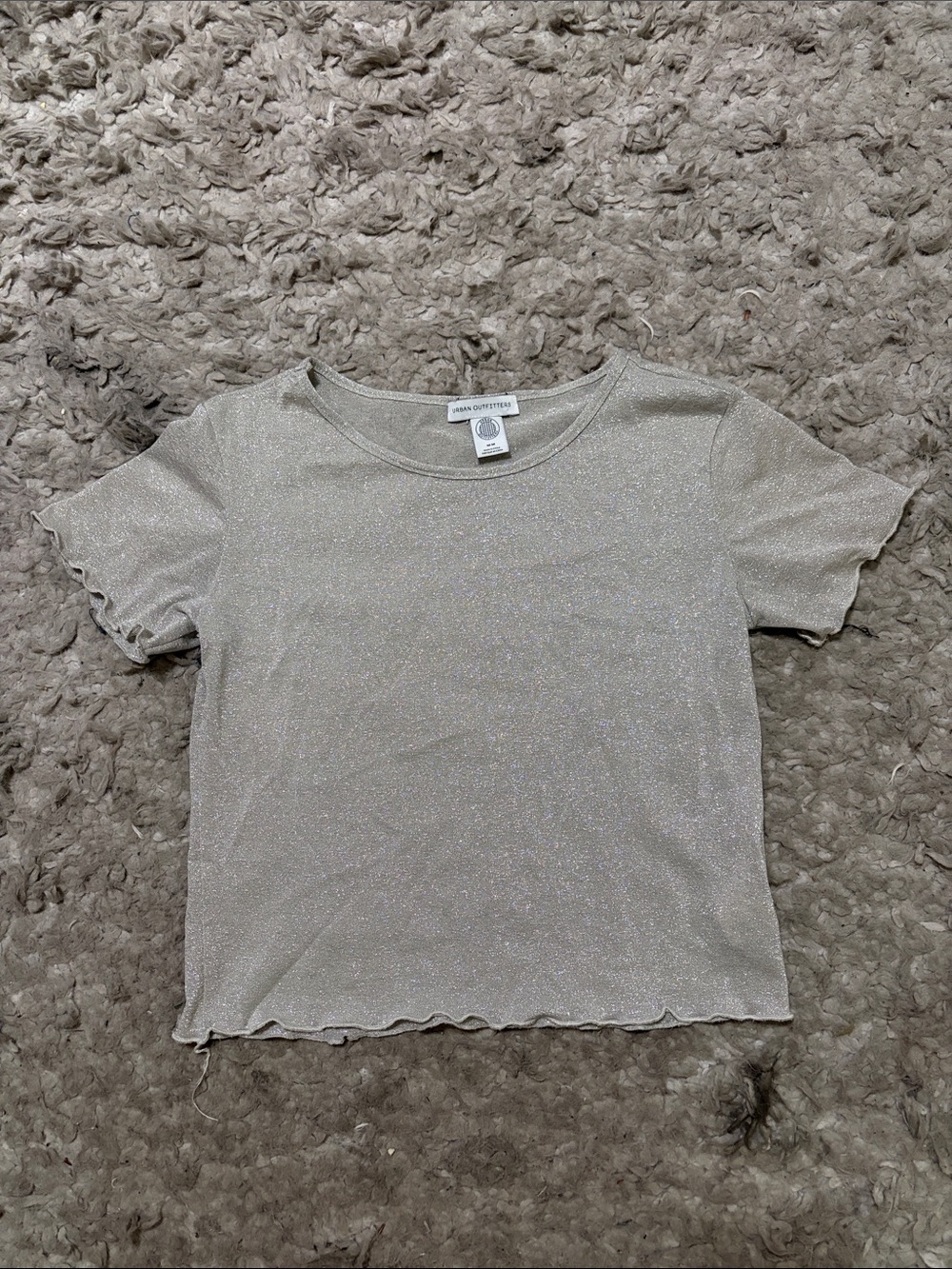 Urban Outfitters Shimmering Silver Short Sleeve Tee